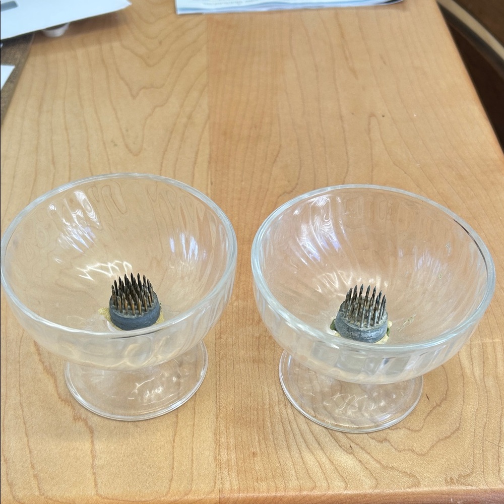 Clear Glass Flower Frogs Set